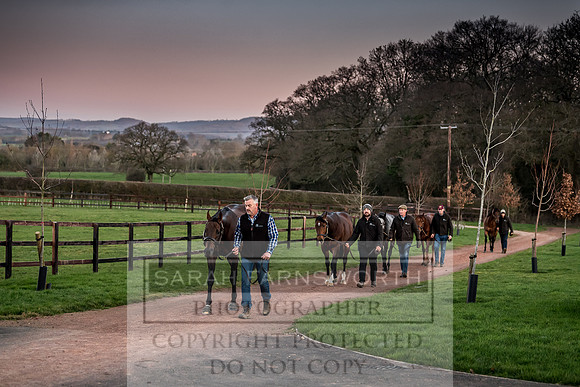 Tweenhills January 2019-40