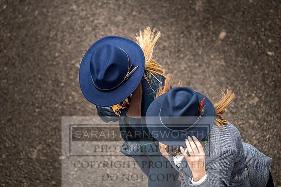Cheltenham Gold Cup 2019-3