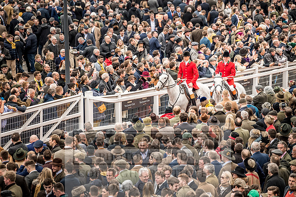 Cheltenham Gold Cup 2019-5