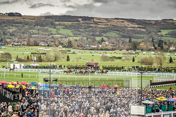 Cheltenham Gold Cup 2019-4