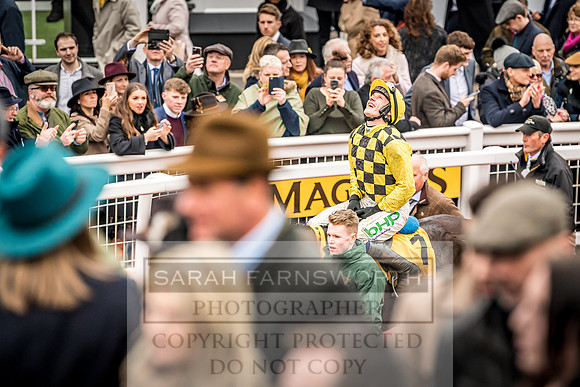 Cheltenham Gold Cup 2019-6