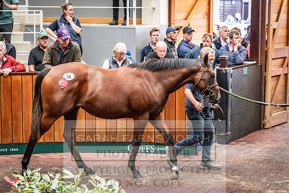 Goffs UK PY24-130
