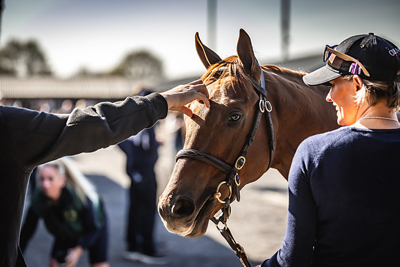 Goffs UK Breeze Up 2022-127
