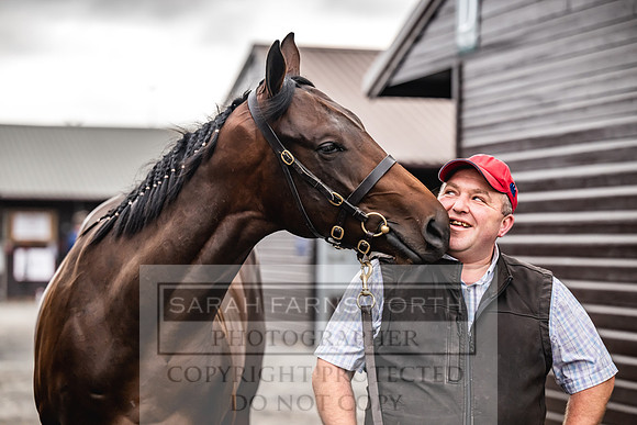 Goffs UK PY24-6