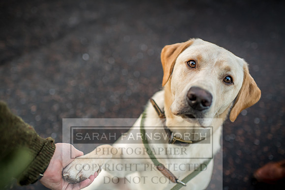 Gleneagles Visit January 2019-12