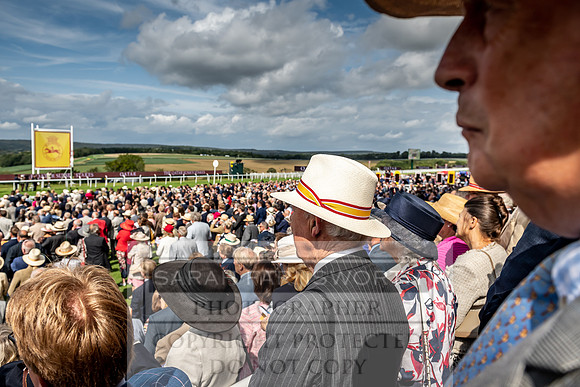 GUK Goodwood Sale 2019-144
