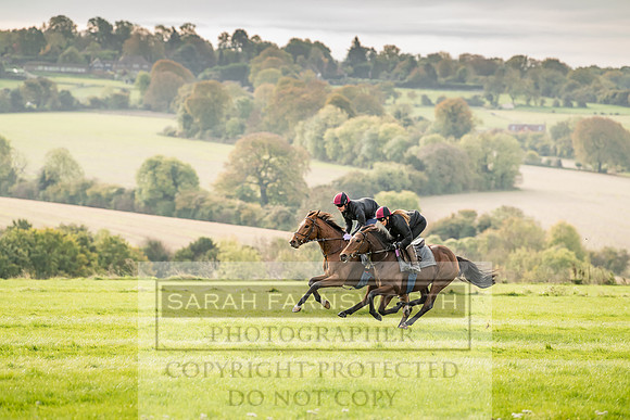 Epsom Training Grounds-337