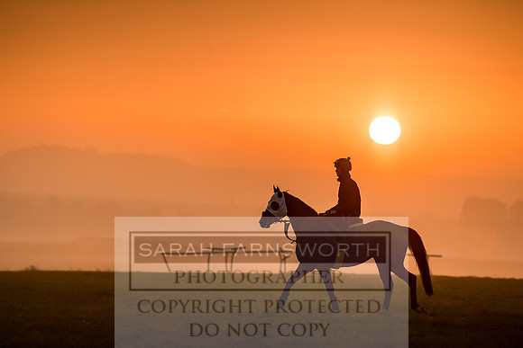 Lambourn October 2018-152