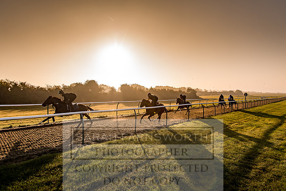 Lambourn October 2018-351