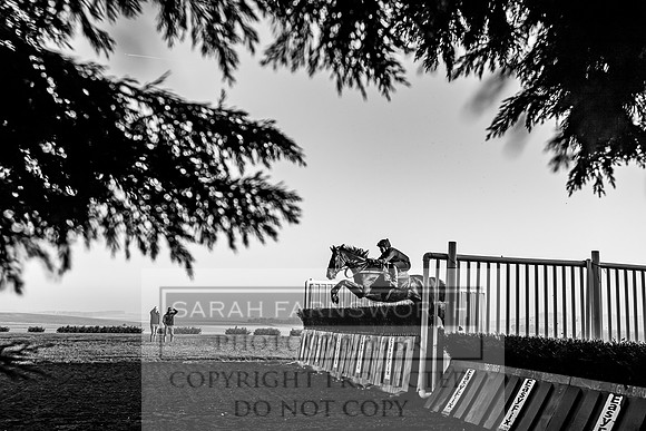 Lambourn October 2018-376