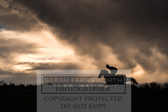 Lambourn March 2019-185