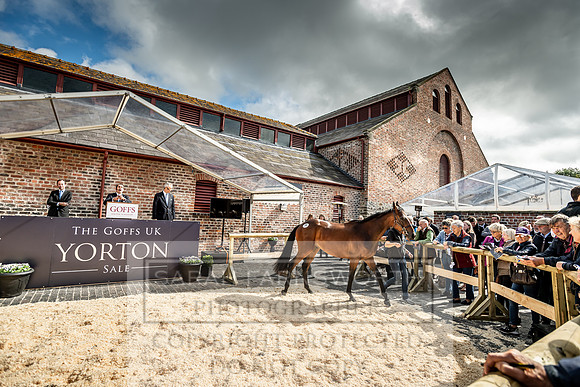 GUK Yorton Sale 2019-355