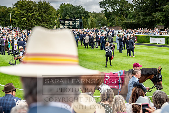 GUK Goodwood Sale 2019-137