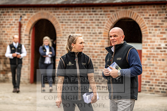 GUK Yorton Sale 2019-258