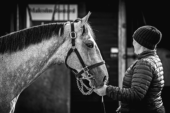 Goffs UK Breeze Up 2022-105