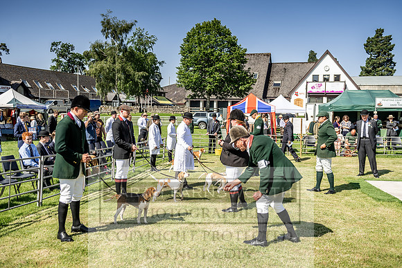 Builth Hound Show 2019-20