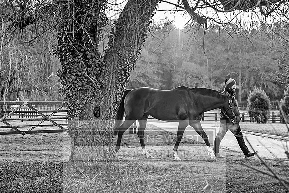 Tweenhills January 2019-81