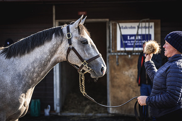 Goffs UK Breeze Up 2022-108