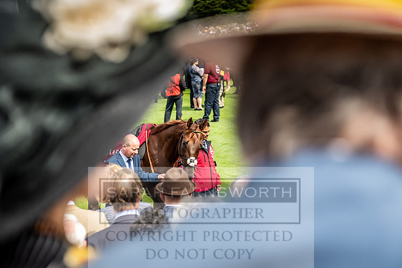 GUK Goodwood Sale 2019-138