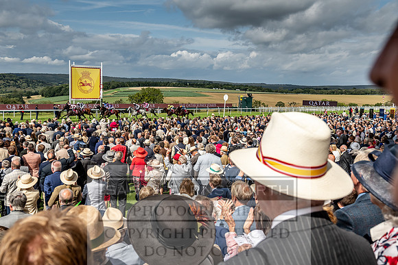 GUK Goodwood Sale 2019-157