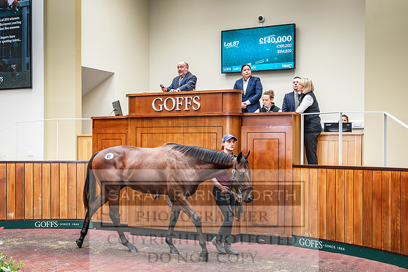 Goffs UK PY24-138