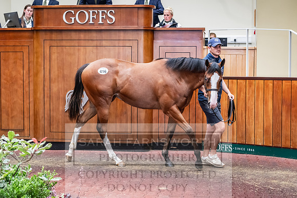 Goffs UK PY24-537
