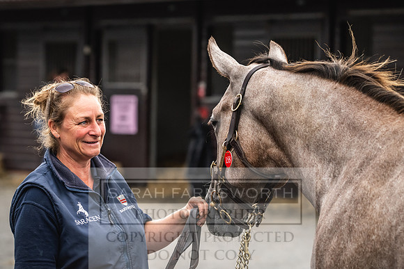 Goffs UK PY24-55