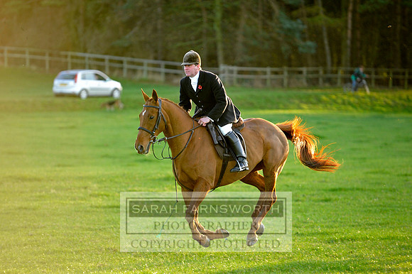 Brocklesby 021113 CF3 1425