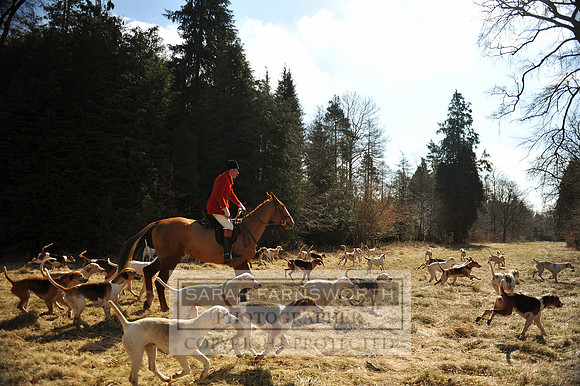 KES_4593