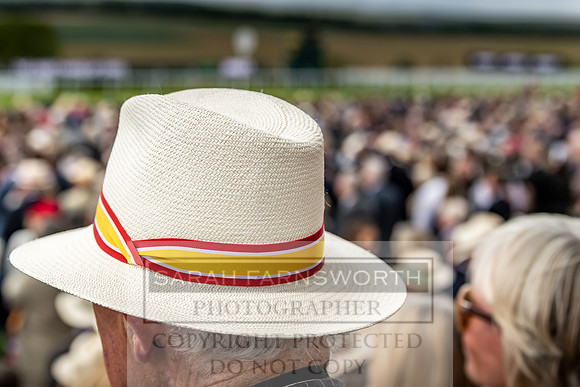 GUK Goodwood Sale 2019-55