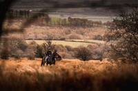 Exmoor Autumn 2020-2