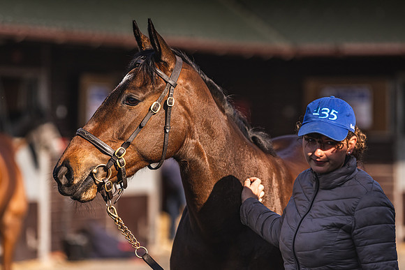 Goffs UK Breeze Up 2022-32
