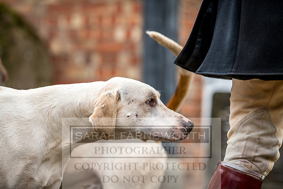 Ledbury 090318-643