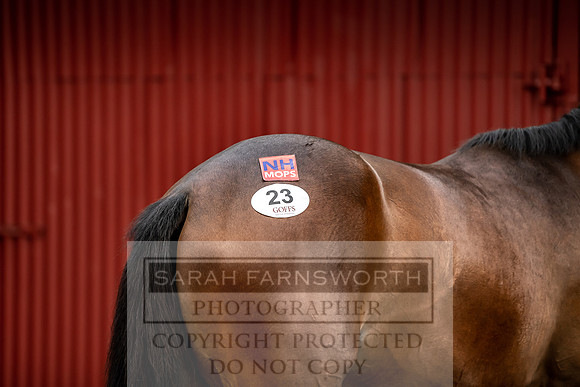 GUK Yorton Sale 2019-148