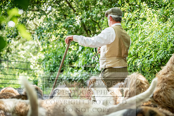 Culm stock June 2019-5