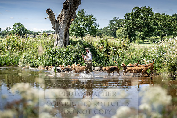 Culm stock June 2019-80