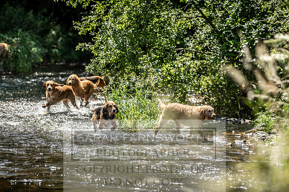 Culm stock June 2019-160