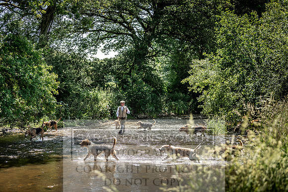 Culm stock June 2019-183