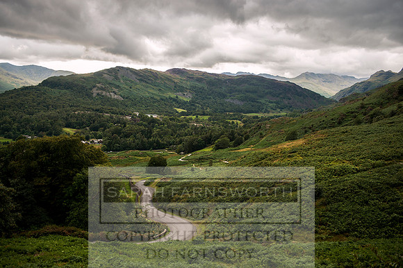 Rydal 2014 CF1 664