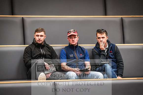 Goffs UK PY24-79