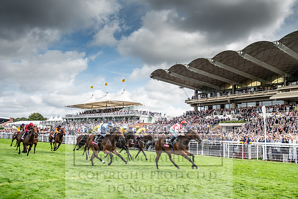 GUK Goodwood Sale 2019-107