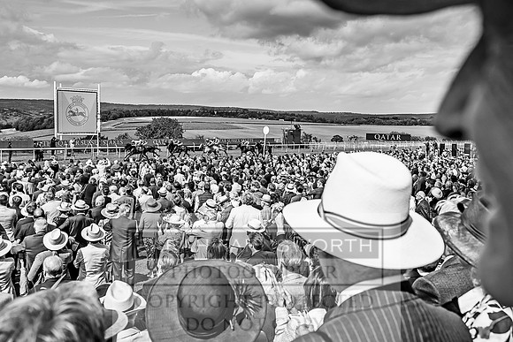 GUK Goodwood Sale 2019-153