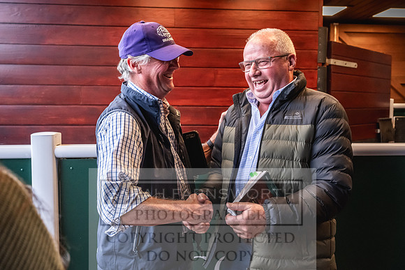 Goffs UK PY24-592