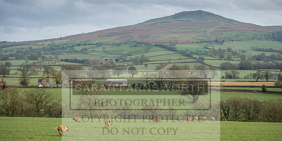 Ludlow 261215-458