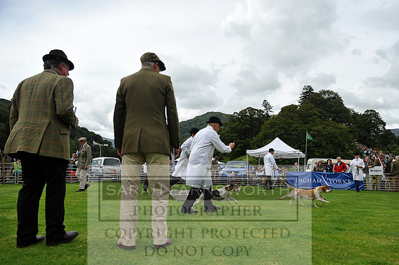Rydal 2014 CF1 414