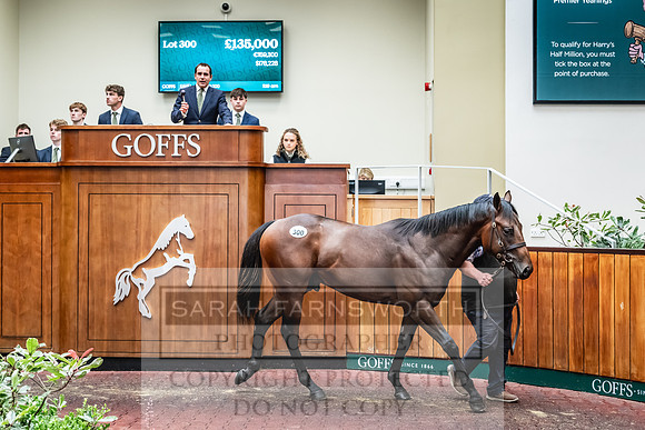 Goffs UK PY24-398