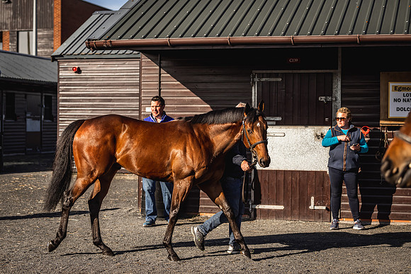 Goffs UK Breeze Up 2022-34