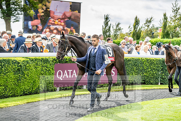GUK Goodwood Sale 2019-79