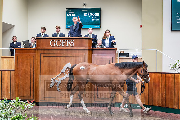Goffs UK PY24-536