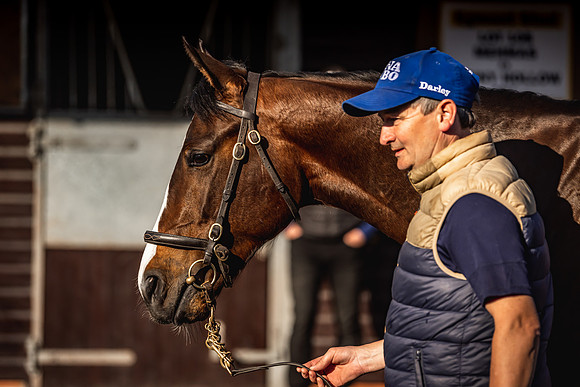 Goffs UK Breeze Up 2022-43